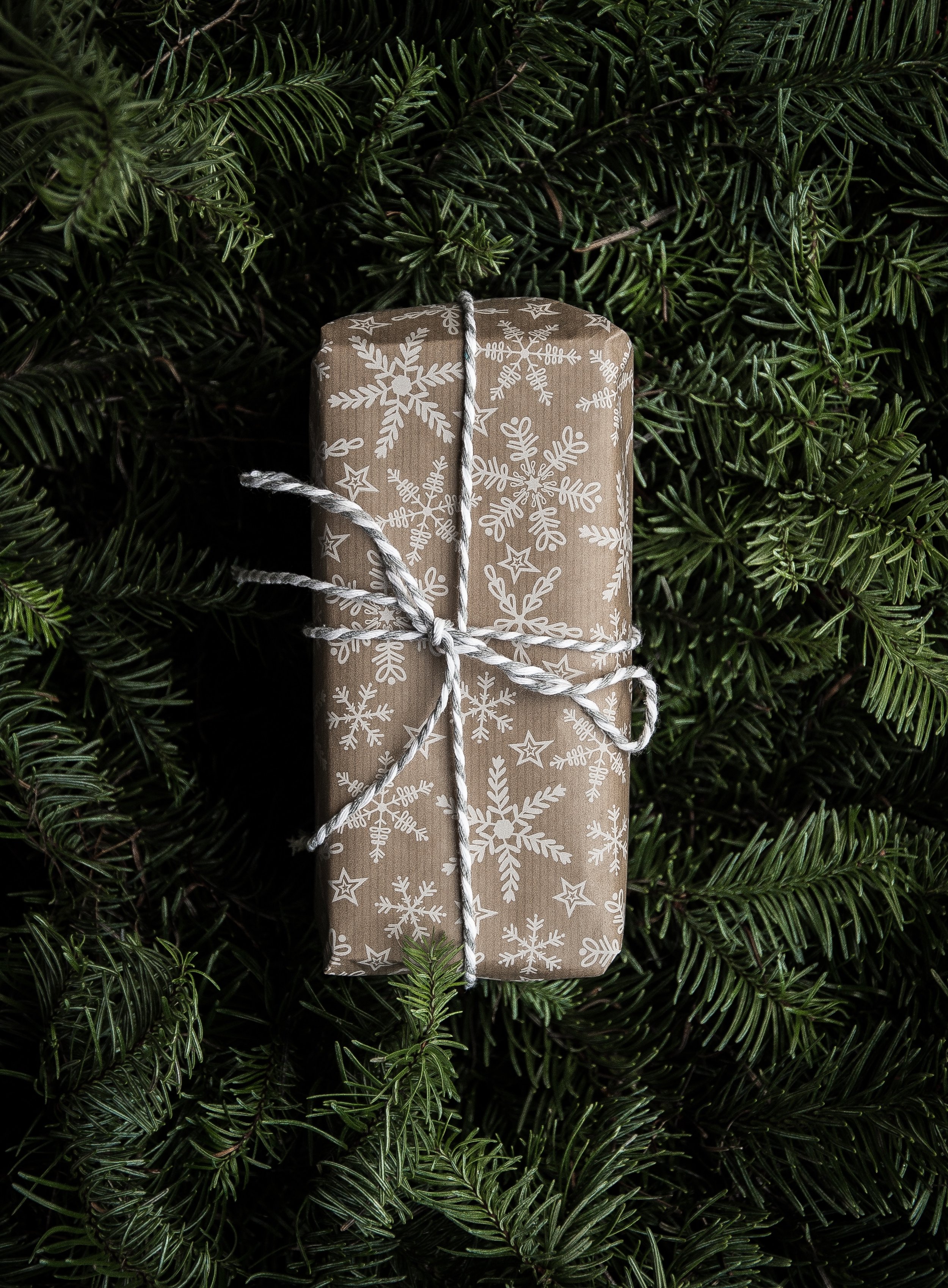  Photo by Annie Spratt on Unsplash 