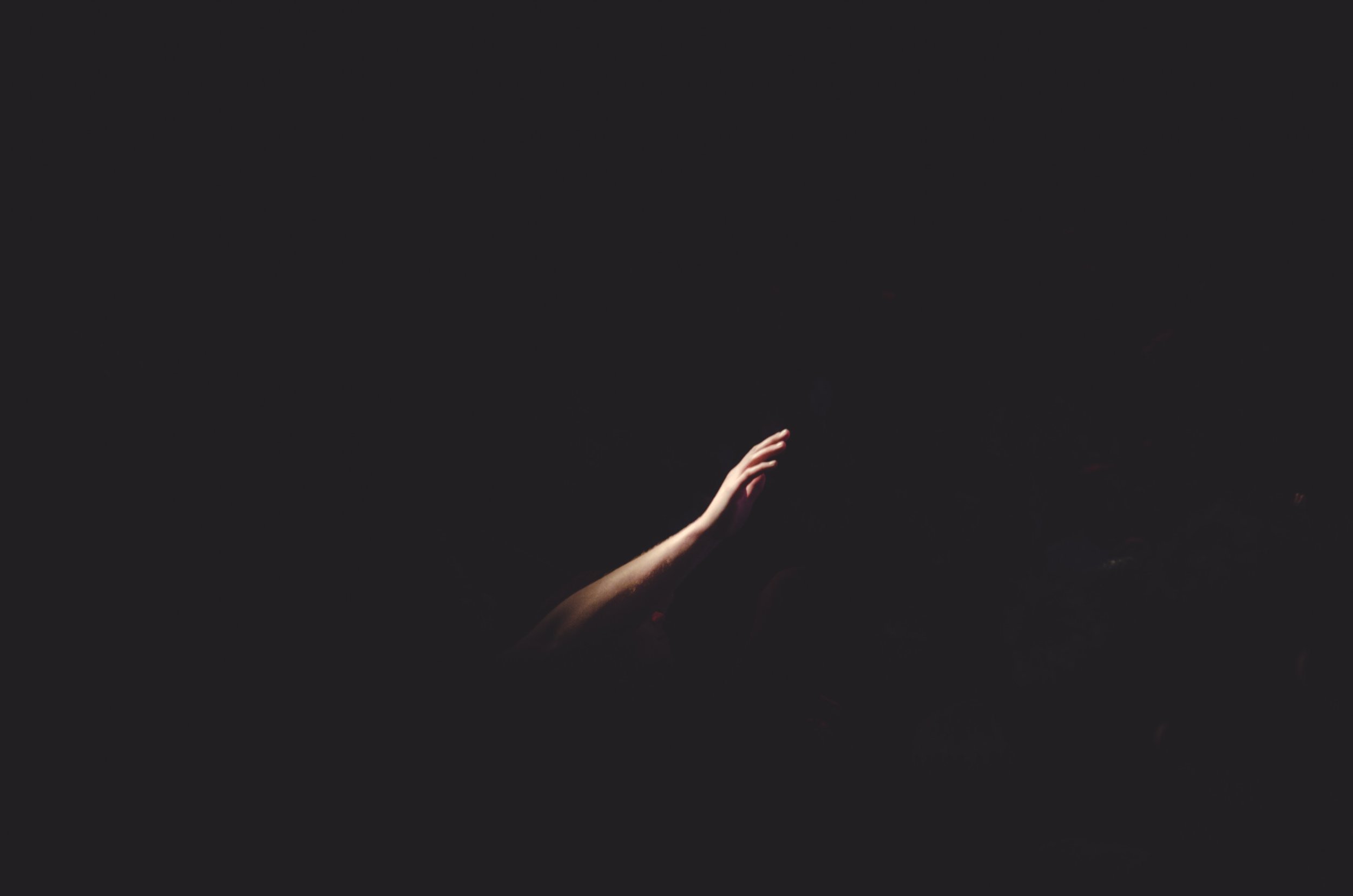  Photo by Cherry Laithang on Unsplash 