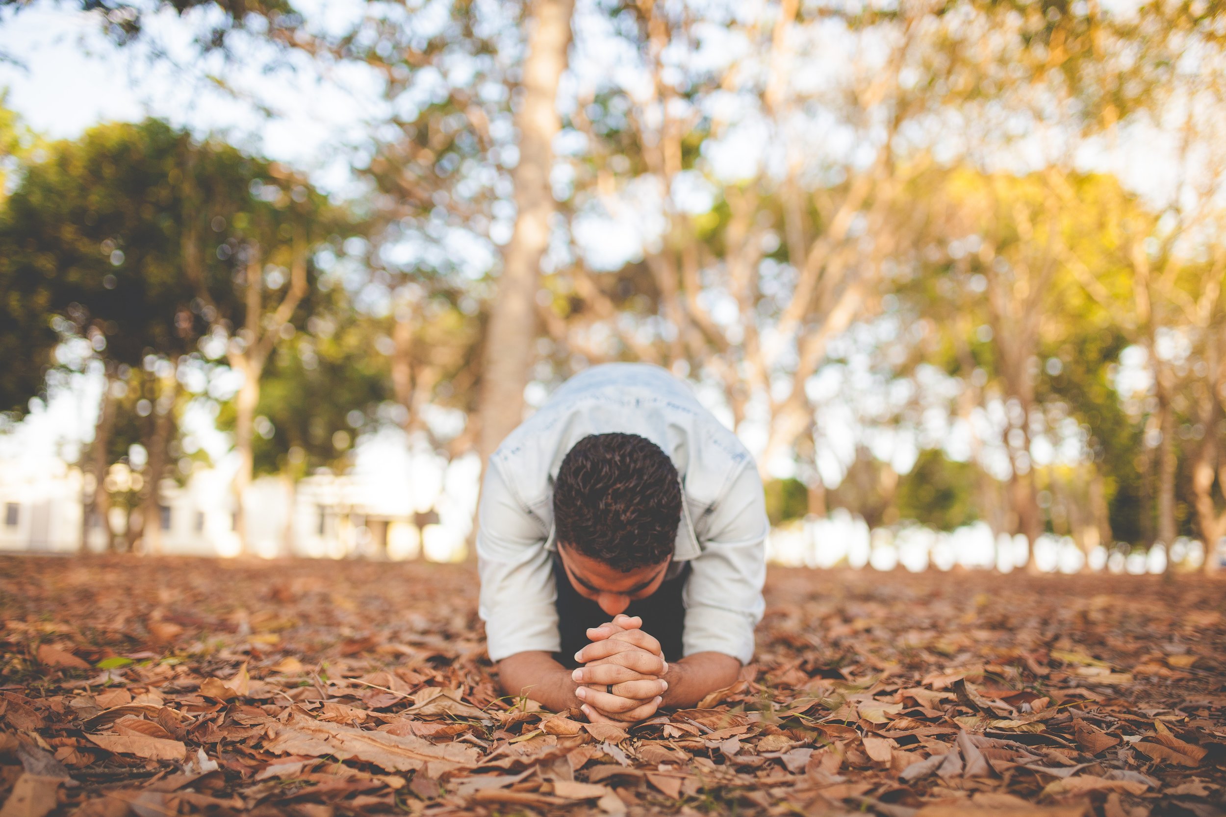  Photo by Naassom Azevedo on Unsplash 