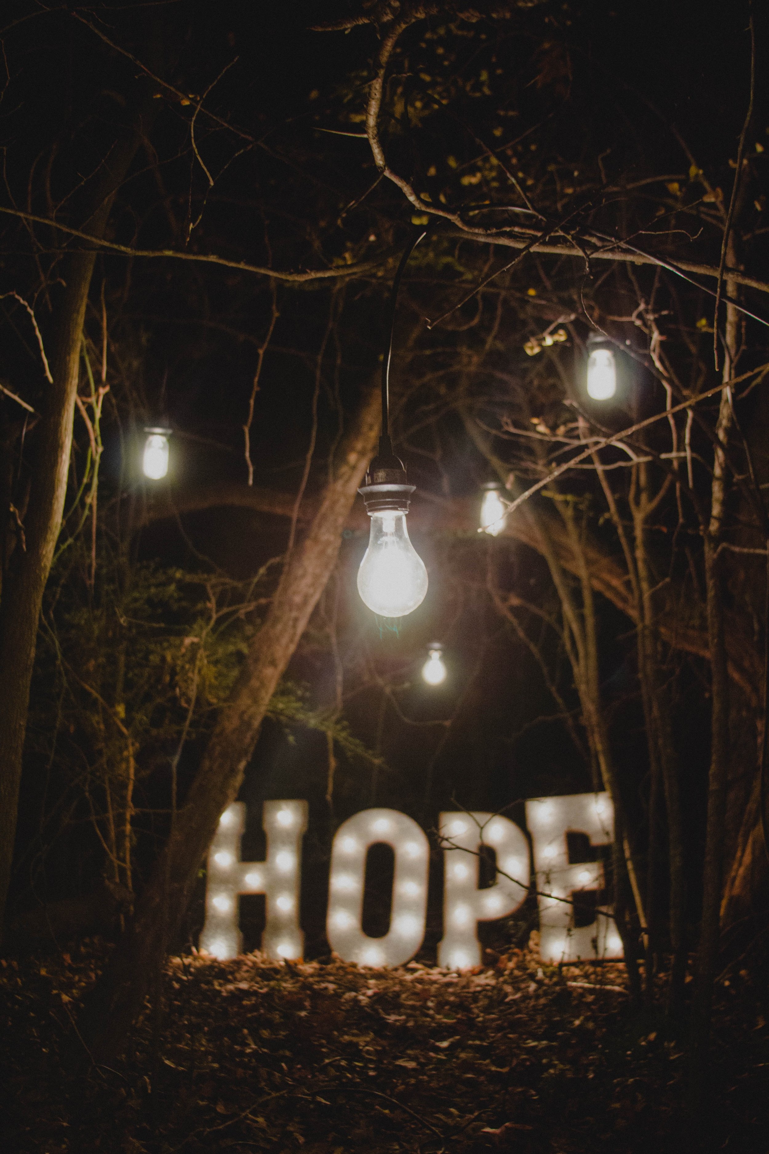  Photo by Ron Smith on Unsplash 