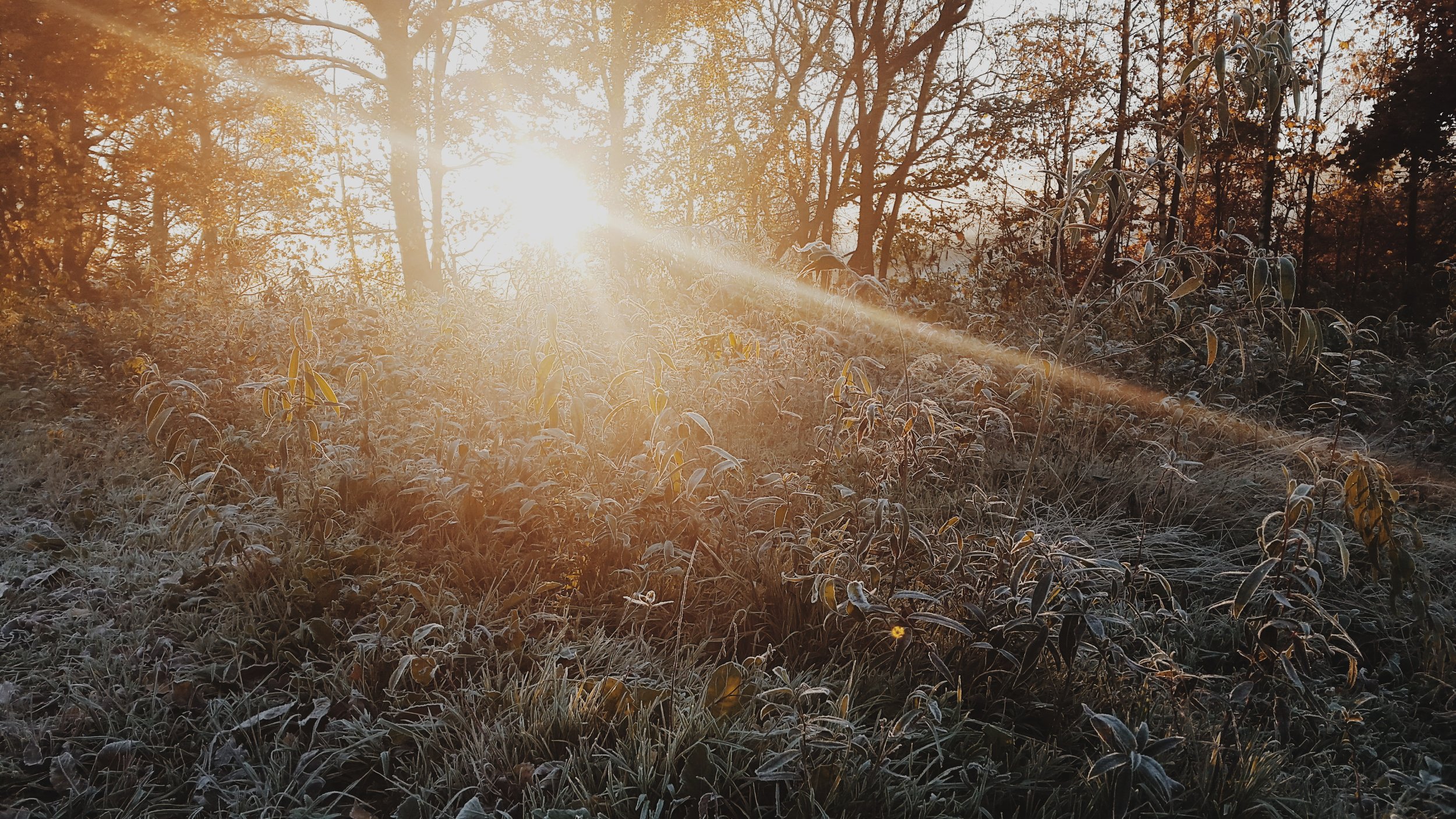 light.jpg
