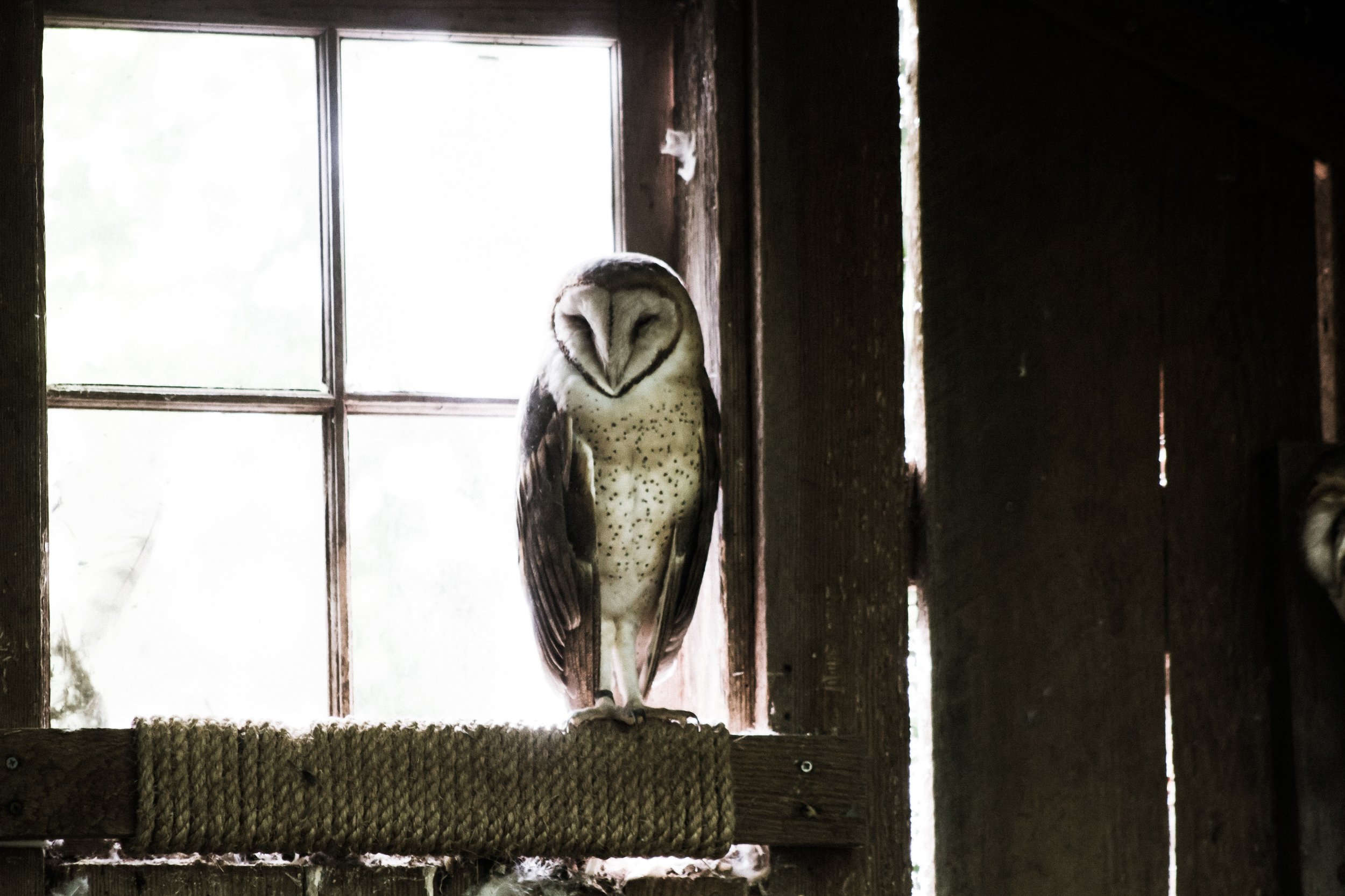  Photo by Cliff Johnson on Unsplash 