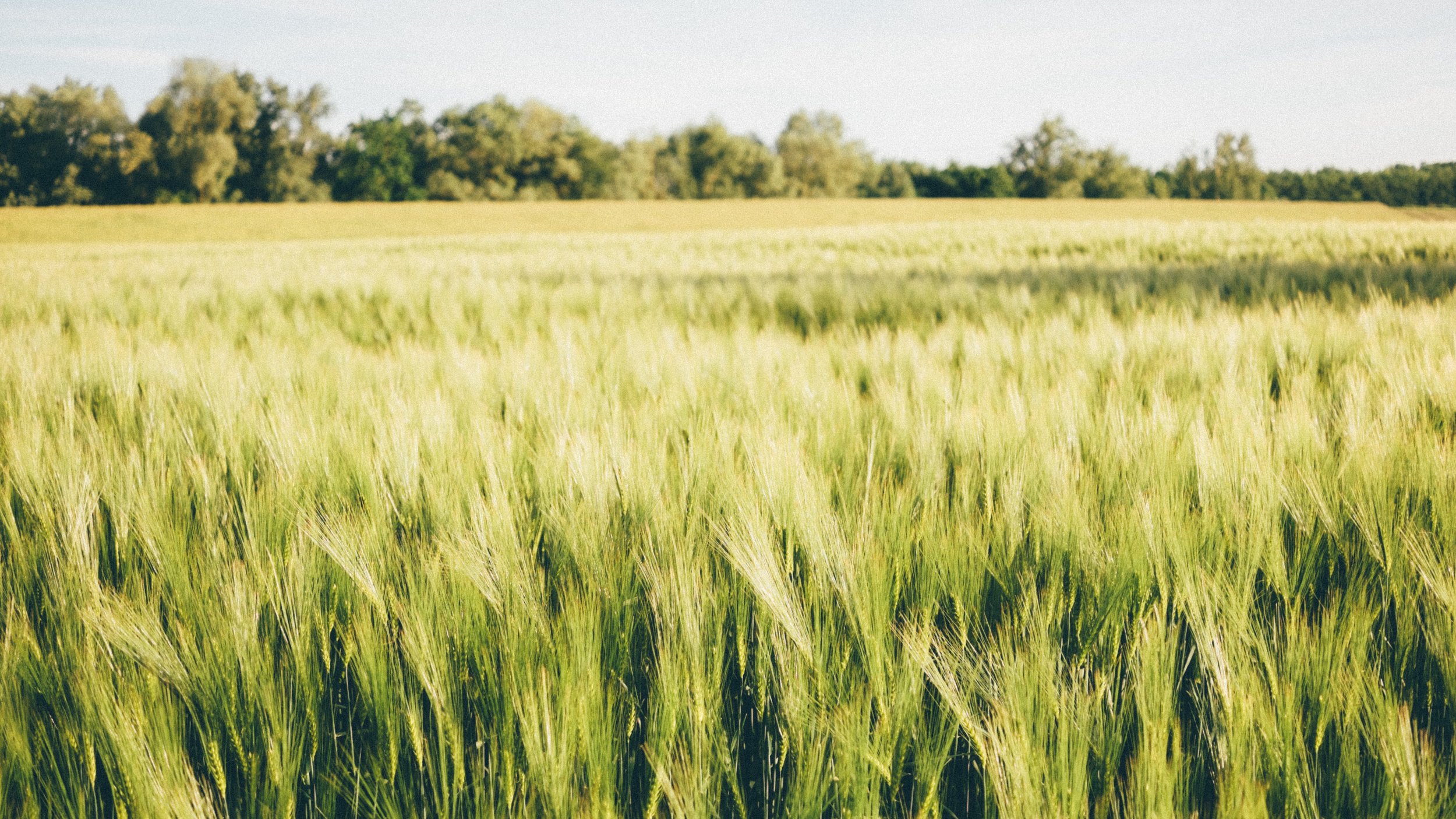  Photo by Thomas Kirchberger on Unsplash 