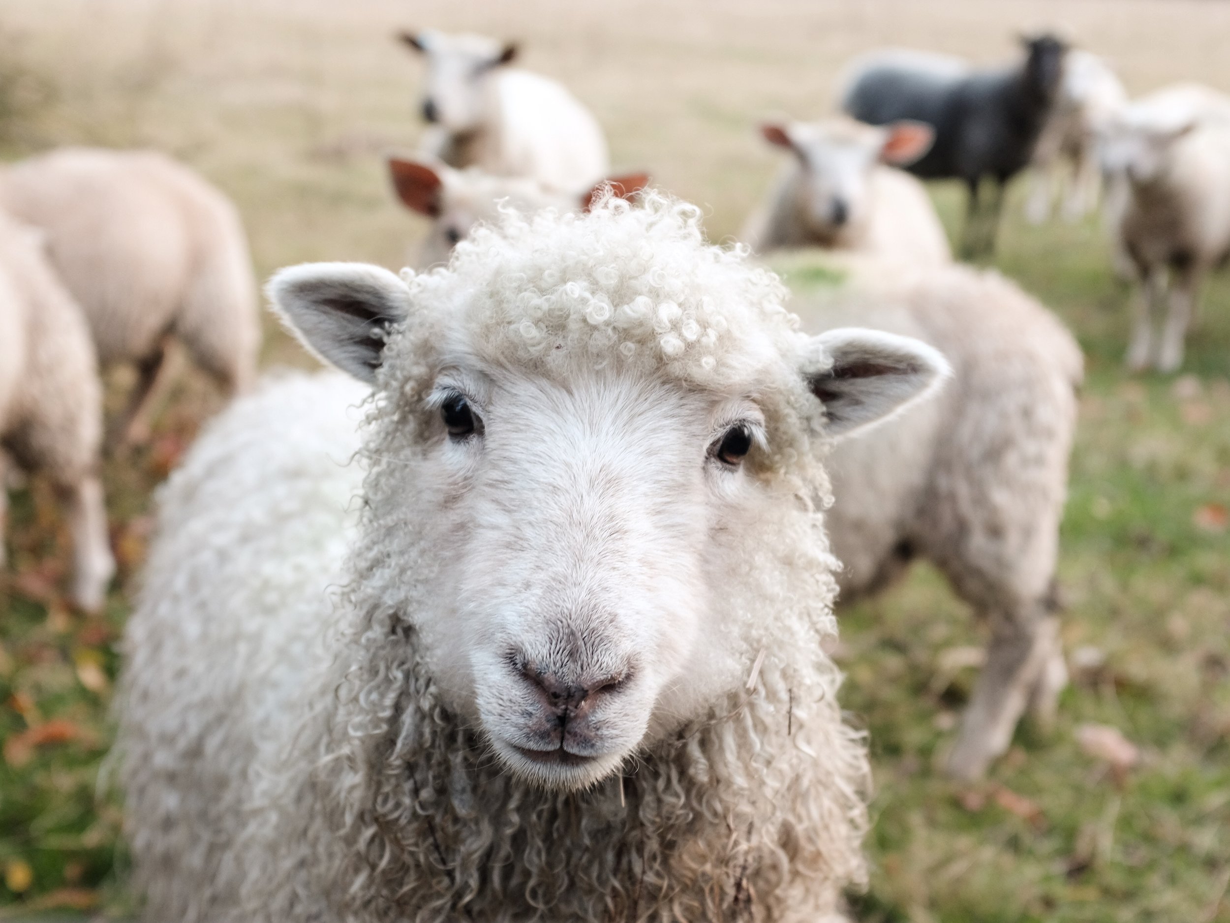  Photo by Sam Carter on Unsplash 