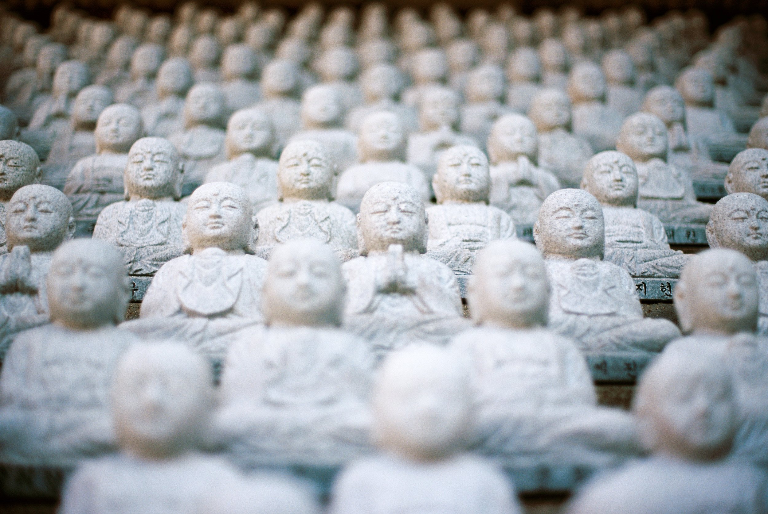  Photo by Jed Adan on Unsplash 